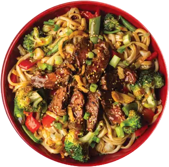 *NEW* Dragon Steak Noodle Bowl